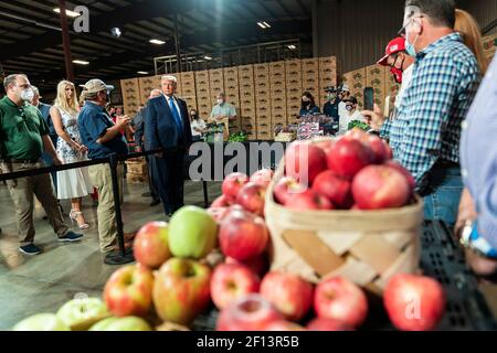 Präsident Donald Trump, zusammen mit dem Berater des Präsidenten Ivanka Trump und Landwirtschaftsminister Sonny Perdue, spricht mit Mitarbeitern während seiner Tour am Montag, 24 2020. August, bei Flavor First Growers and Packers in Mills River N.C. Stockfoto