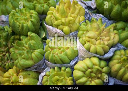 Vietnamesischer Buddha's Hand Frucht. Sarcodactylis, oder die gefingerte Zitrone, ist eine ungewöhnlich geformte Citronensorte mit Frucht segmentiert in fingerartige Abschnitte. Es wird Buddhas Hand in Chinesisch (佛手柑), Japanisch (仏手柑) und Koreanisch (불수감; 佛手柑) genannt. Hanoi, Vietnam Stockfoto