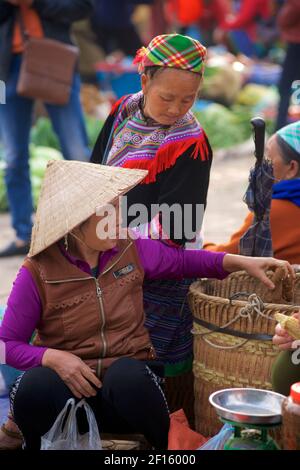 Vietnamesische Frauen, darunter eine Flower Hmong Frau in traditioneller Kleidung und eine Frau mit einem unverwechselbaren konischen Hut. BAC Ha Markt, Lao Cai Provinz, Vietnam. Stockfoto