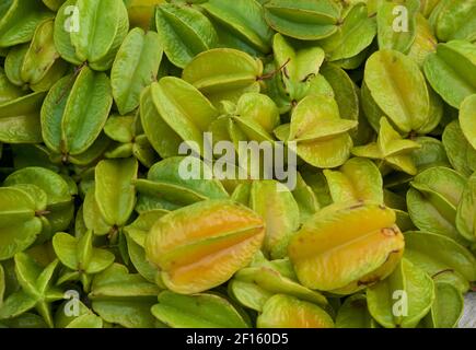 Sternfrüchte oder Carambola Obst zum Verkauf auf Bac Ha Markt, Lao Cai Provinz, Nordvietnam. Die Frucht von Averrhoa carambola, eine Baumart, die im tropischen Südostasien beheimatet ist. Stockfoto