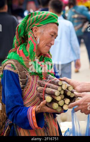 Blume Hmong Frau in lokalen Stil Kleidung, Kauf Zuckerrohr auf Bac Ha Markt. Lao Cai Provinz, Nordost Vietnam Stockfoto