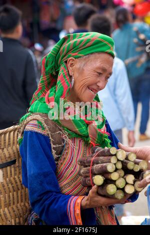 Blume Hmong Frau in lokalen Stil Kleidung, Kauf Zuckerrohr auf Bac Ha Markt. Lao Cai Provinz, Nordost Vietnam Stockfoto