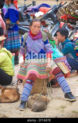 Blume Hmong Frau in lokalen Stil Kleidung auf Bac Ha Markt, Verkauf von Welpen. Lao Cai Provinz, Nordost Vietnam Stockfoto