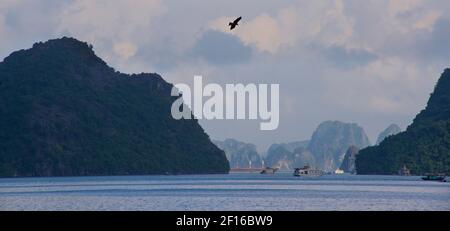 Karsttopographie. Landschaft von Halong Bay, Nordvietnam Stockfoto