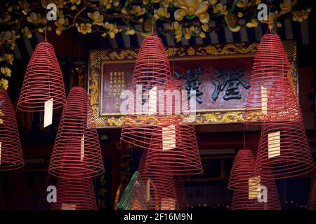 Spiral Weihrauchspulen im Hoi Quan Quảng Dong. Die Hokien (Fujian) Meeting Hall, Phuc Kien. Hoi An, Provinz Quảng Nam, Vietnam Stockfoto