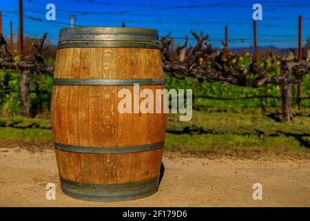 Weinfass und Reihen von Weinreben mit gelben Senfblüten blühen zwischen den Reben auf einem Weinberg im Frühjahr in Napa Valley, Kalifornien, USA Stockfoto