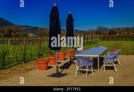 Outdoor-Tisch im Freien mit Stühlen an den Weinreben mit blühenden gelben Senf Blumen auf einem Weinberg im Frühjahr in Napa Valley, Kalifornien, USA Stockfoto