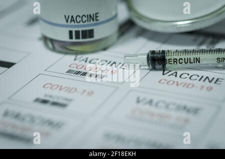 Medikamentenetiketten und Flaschen mit COVID-19-Impfstoff und -Spritze. Stockfoto