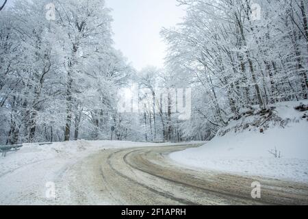 Straße in Sabaduri Wald mit bedecktem Schnee. Winterzeit Stockfoto