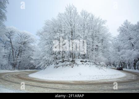 Straße in Sabaduri Wald mit bedecktem Schnee. Winterzeit Stockfoto