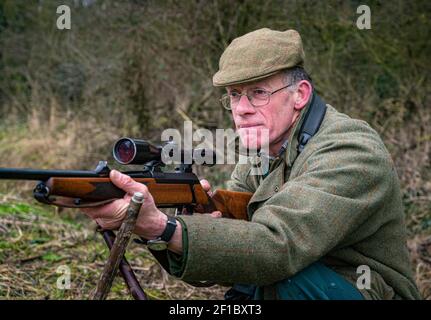 Lincolnshire, England, Großbritannien. Ein Deerstalker endlich Licht suchen und beobachten Hirsche für Keulung und Management als Teil eines Naturschutzprogramms Stockfoto