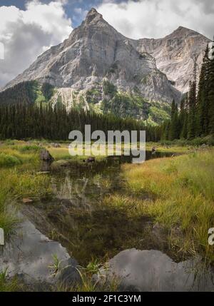 Der Berg spiegelt sich im Fluss, der sich ihm zurollt, aufgenommen am Upper Kananaskis Lake Trail, Alberta, Kanada Stockfoto
