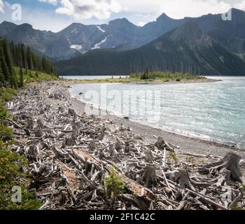 Wald, Berge und Seeufer am Upper Kananaskis Lake Trail, Alberta, Kanada Stockfoto