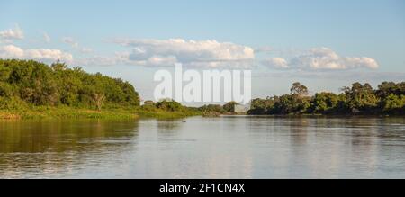 Panorama auf dem Rio Sao Lourenco im Pantanal, Mato Grosso, Brasilien Stockfoto