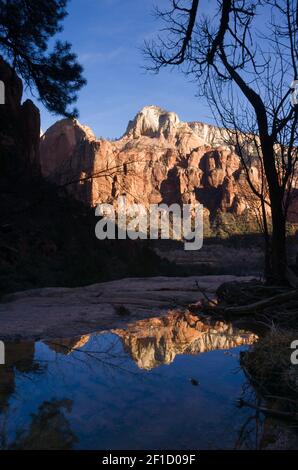 Wasser gefüllt Tarn spiegelt den hohen Berge Zion National Park Stockfoto