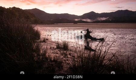 Roter Sonnenuntergang Landschaft Landschaft in tropischen Einlass/Bucht mit verlassenen Holz in Rahmen. Gedreht im Abel Tasman National Park, Neuseeland Stockfoto