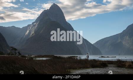 Fjordlandschaft mit dominanter Spitze und Person auf dem Boden für Skala. Aufgenommen im Milford Sound, Fiordland National Park, Neuseeland Stockfoto