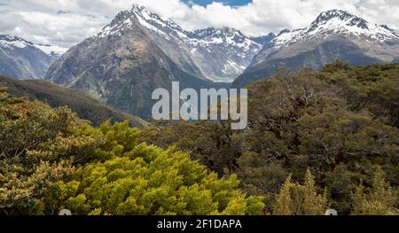 Blick auf Berggipfel mit Bäumen im Vordergrund. Gedreht auf Routeburn Track, Neuseeland Stockfoto