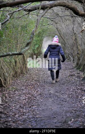 Ältere einstehende Frauen, die auf dem Waldweg entlang der Baumgrenze wandern Stockfoto