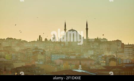 Silhouette einer Moschee Fatih im Nebel und Sonnenlicht Reflexionen. Vintage-Stil. Stockfoto