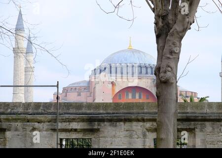 Hagia sophia Moschee und alte Kirche und Museum. Das Foto wurde von der blauen Moschee (sultanahmet camii) Hof und Garten mit Mauer aus Garten und getrockneten Baum gemacht Stockfoto