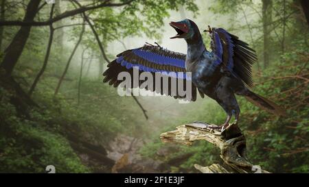 Archaeopteryx, vogelähnlicher Dinosaurier aus der späten Jurazeit vor rund 150 Millionen Jahren Stockfoto