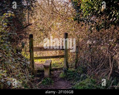 Traditionelle Holzstile in Devon Landstraße. Stockfoto