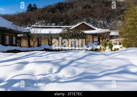 Winterlandschaft mit schneebedecktem Hanok. Baekyangsa Tempel in Jeollanam-do, Südkorea. Stockfoto