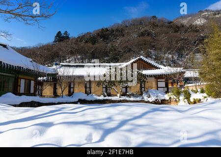 Winterlandschaft mit schneebedecktem Hanok. Baekyangsa Tempel in Jeollanam-do, Südkorea. Stockfoto