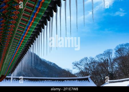 Schneebedeckter Baekyangsa-Tempel, Eiszapfen, die an den Dachrinnen hängen, Winterlandschaft in Korea. Stockfoto