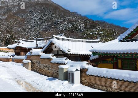 Winterlandschaft mit schneebedecktem Hanok. Baekyangsa Tempel in Jeollanam-do, Südkorea. Stockfoto