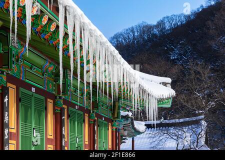 Schneebedeckter Baekyangsa-Tempel, Eiszapfen, die an den Dachrinnen hängen, Winterlandschaft in Korea. Stockfoto