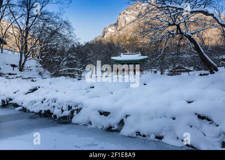 Baekyangsa Tempel, der Morgen von Naejangsan mit Schnee bedeckt, Winterlandschaft in Korea. Stockfoto