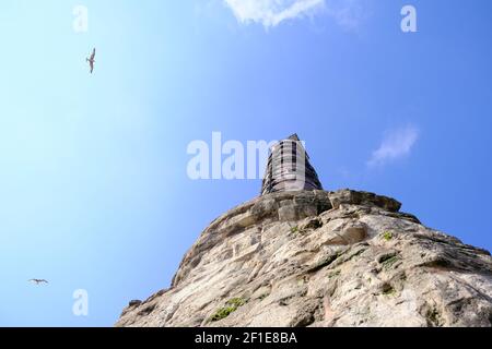 Istanbul-Säule von Konstantin (cemberlitas) Foto von der Unterseite der antiken römischen Säule mit hellblauem Himmel und fliegender Möwe aufgenommen. Stockfoto