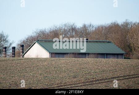 08. März 2021, Schleswig-Holstein, Kühren: Blick auf eine Geflügelfarm im Landkreis Plön. In dem Betrieb mit etwa 76 000 Legehennen wurde ein Fall von Geflügelpest festgestellt. (Zu "Vogelgrippe in Bauernhof mit 76 000 Hühnern im Bezirk Plön nachgewiesen") Foto: Daniel Bockwoldt/dpa Stockfoto