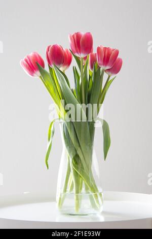 Schönes Bouquet von frischen rosa Tulpen in einer Glasvase auf einem kleinen weißen runden Tisch. Stockfoto