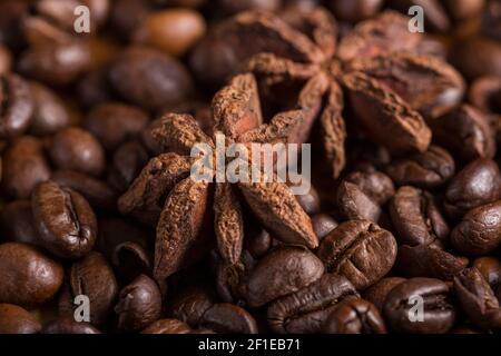 Makro von Sternanis und gerösteten Kaffeebohnen. Köstliches Getränk. Perfekte Kombination. Stockfoto