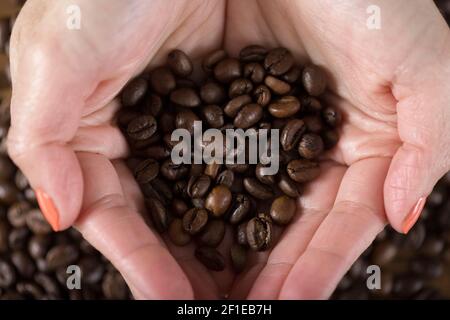 Frau mit gerösteten Kaffeebohnen in den Händen. Aroma von frischem Kaffee. Stockfoto