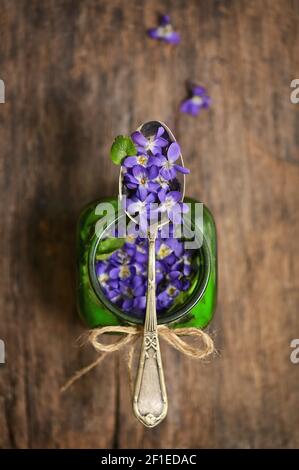 Konzeptuelle Krautige Mehrjährige Pflanze Viola Odorata Stockfoto