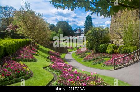 Spektakuläre Blumenbeete im Frühling im Guildford Castle Grounds Surrey England. Mai 2018 Stockfoto