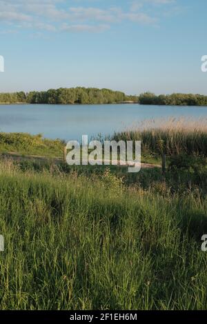 Fen Drayton Seen Naturschutzgebiet in Cambridgeshire, England. Blaues Wasser und klarer sonniger Himmel. Stockfoto