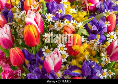 Blumenmuster mit Tulpen, Iris und Gänseblümchen. Bunte Frühlingsblumen. Valentinstag, Muttertag, Frauen Tag Hintergrund. Stockfoto