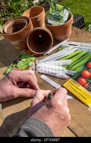 Nahaufnahme des menschlichen Gärtners, der Pflanzenetiketten und Päckchen Gemüsesamensamen auf einen Tisch schreibt England Vereinigtes Königreich GB Großbritannien Stockfoto