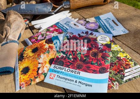 Nahaufnahme von Päckchen Blumensamen auf einem Tabelle im Frühjahr England GB Vereinigtes Königreich GB Großbritannien Stockfoto