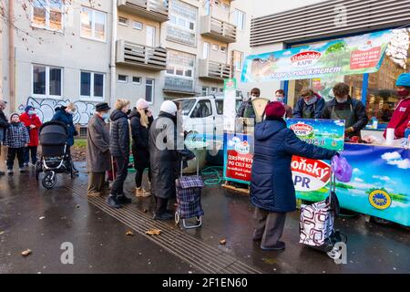 Verkaufsstand Karpfen vor Weihnachten, Zizkov, Prag, Tschechische Republik Stockfoto