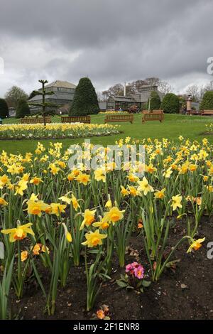 730 Great Western Rd, Glasgow G12 0UE, Schottland, Großbritannien. Glasgow Botanic Gardens ist ein botanischer Garten im West End von Glasgow, Schottland. Es verfügt über mehrere Gewächshäuser, von denen die bemerkenswerteste ist der Kibble Palace.John Kibble baute sein Gewächshaus im Jahr 1860s, als privater Wintergarten für sein Haus in Coulport auf Loch Long. Sie wurde 1873 abgebaut und per Lastkahn nach Glasgow verlegt und in den Gärten wieder aufgebaut. Ursprünglich war es ein Ort der Unterhaltung, und in der 1880s Belüftung hinzugefügt wurde und Pflanzen eingeführt wurden. Stockfoto