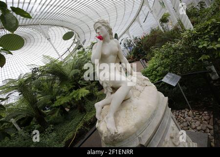 730 Great Western Rd, Glasgow G12 0UE, Schottland, Großbritannien. Glasgow Botanic Gardens ist ein botanischer Garten im West End von Glasgow, Schottland. Es verfügt über mehrere Gewächshäuser, von denen die bemerkenswerteste ist der Kibble Palace.John Kibble baute sein Gewächshaus im Jahr 1860s, als privater Wintergarten für sein Haus in Coulport auf Loch Long. Es wurde abgebaut und 1873 nach Glasgow verlegt und in den Gärten wieder aufgebaut. Ursprünglich war es ein Ort der Unterhaltung, in der 1880s Belüftung hinzugefügt wurde und Pflanzen eingeführt wurden.die Marmorstatue von Eve, c,1880 von der italienischen Bildhauer Scipione Tadolini, Stockfoto