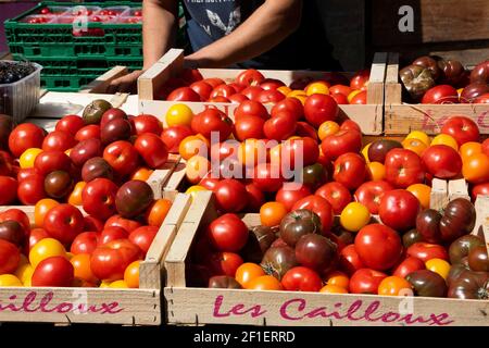 PARIS, FRANKREICH - 1. SEPTEMBER 2018: Anbieter von leckeren Tomaten (von Cailloux Familie Betrieb traditionellen Bauernhof in der Provence) in der Straße Beauvau Stockfoto