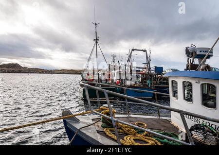 Küstenfischboote im Hafen von Burtonport, County Donegal, Irland Stockfoto