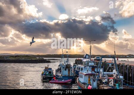 Küstenfischboote im Hafen von Burtonport, County Donegal, Irland Stockfoto